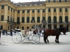 vena-excursija_www-austriadeluxe-at